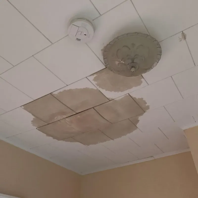 Ceiling Water Damage Repair in Tishomingo, OK