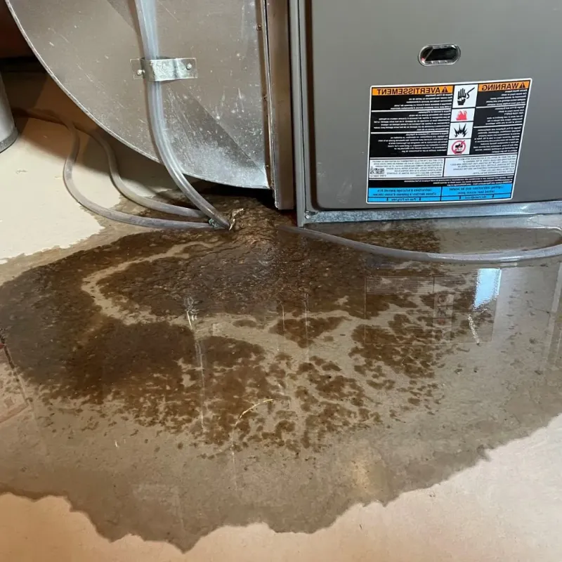 Pipe Burst and Leak Restoration in Tishomingo, OK