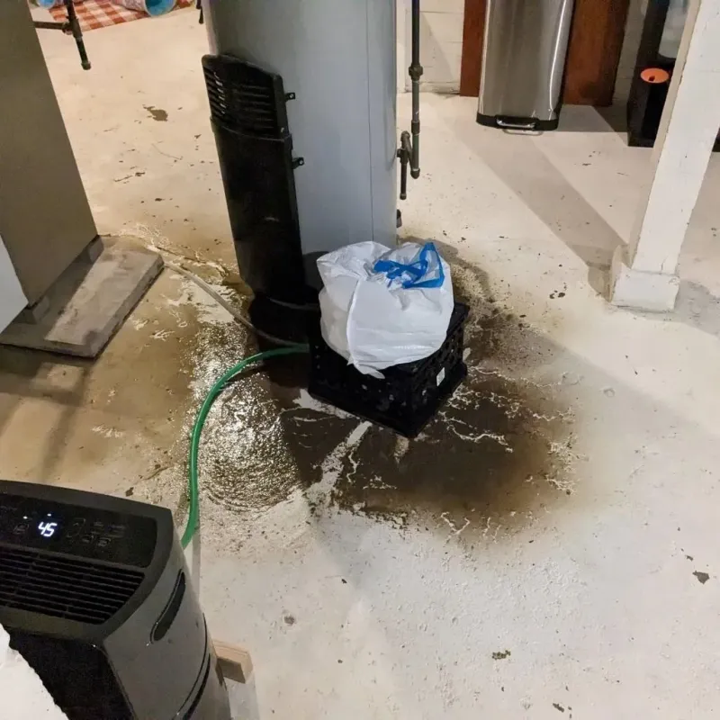 Sewage Backup Cleanup Service in Tishomingo, OK